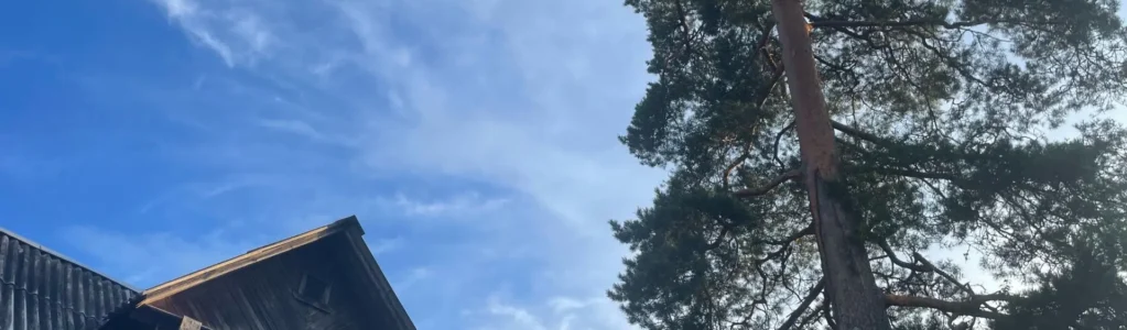 Совсем недавно мы посетили подворье монастыря